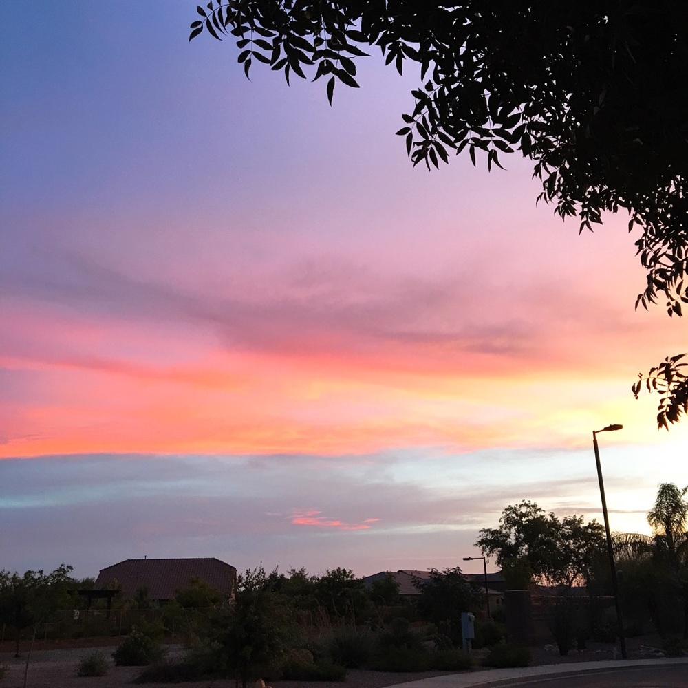 Meet your Posher, Linny - Picture 2 of 2